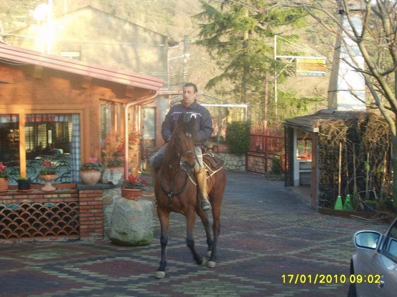 Agri-Hotel Da Marianna Resort & Spa Santa Domenica Vittoria Luaran gambar